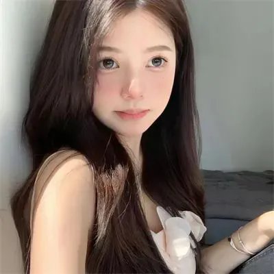 兽娘动物园