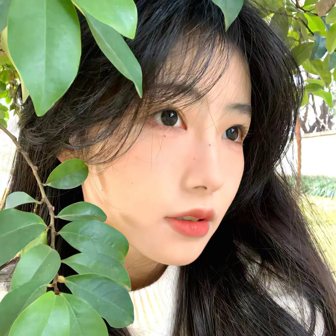 盛夏的方程式